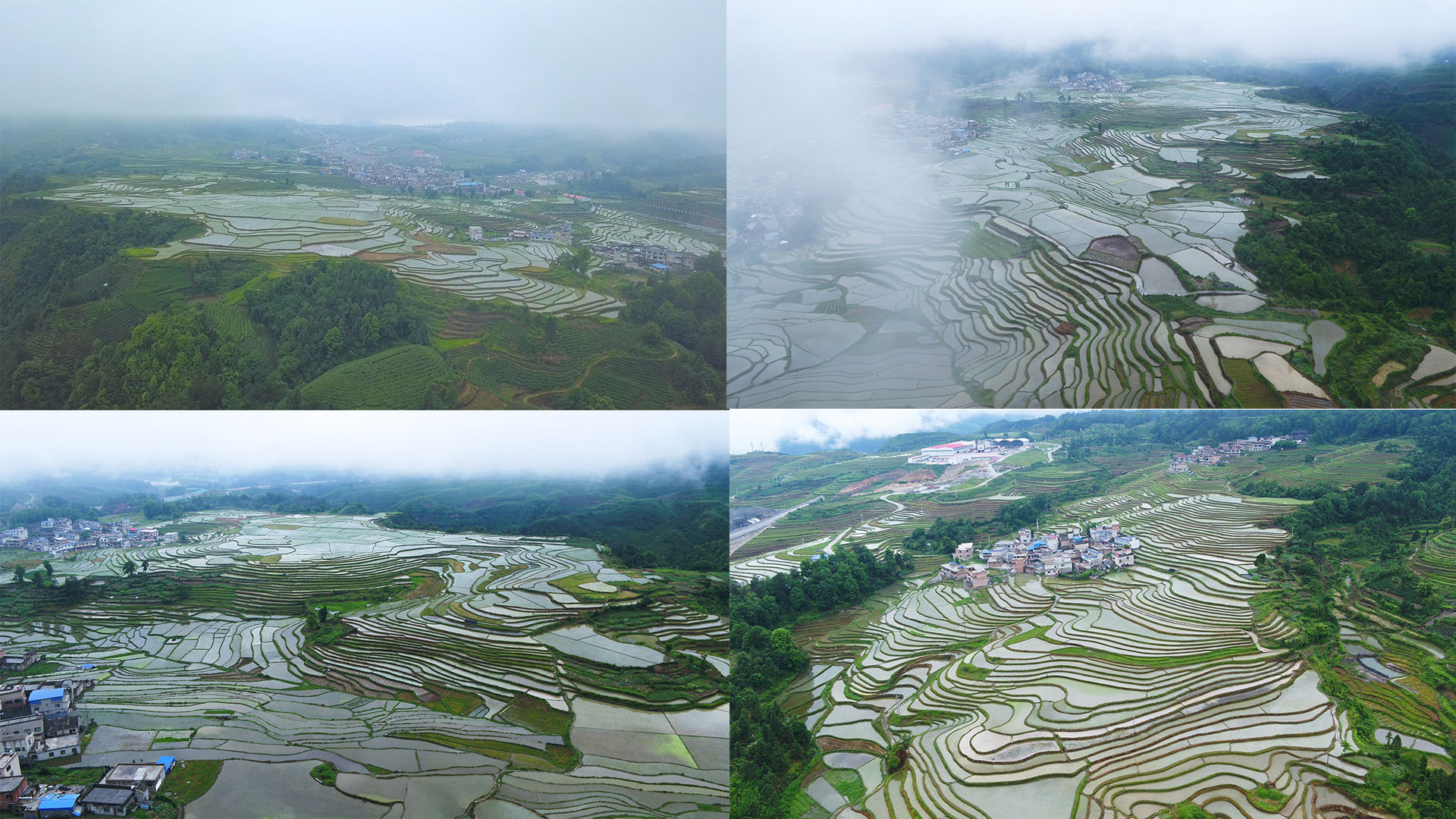 鸟王梯田,位于贵州贵定县云雾镇鸟王村,当地也叫长寿村