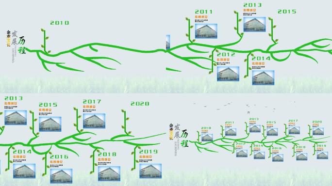 4K简洁}企业时间轴模板