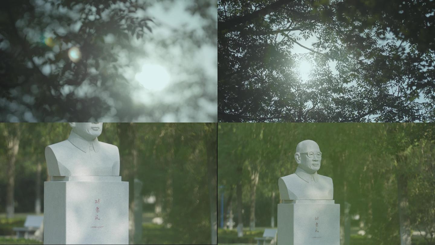 著名中医刘惠民雕像高清实拍素材阳光树