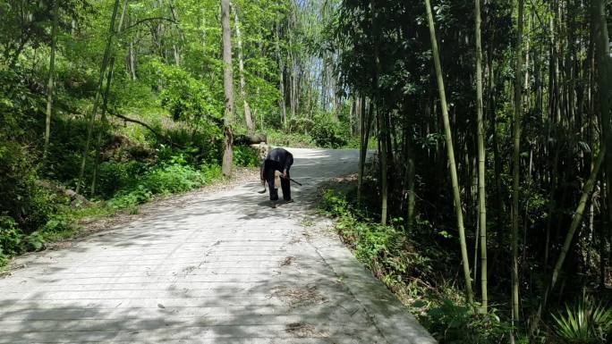 贵州遵义山村老人农忙