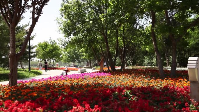 北京疫情后的公园