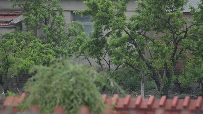 北方农村下大雨