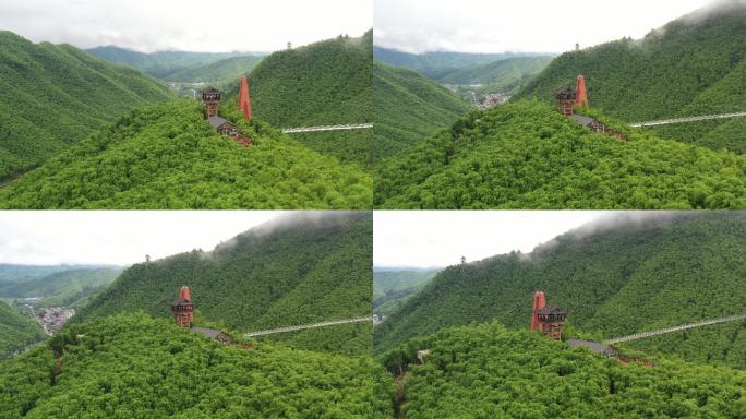 大气竹林山间4K超清航拍