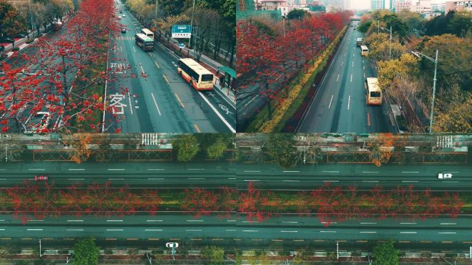 佛山城市木棉花航拍