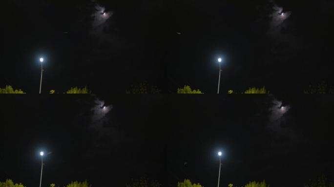 【原创】4K路灯、月亮、小鸟盘旋