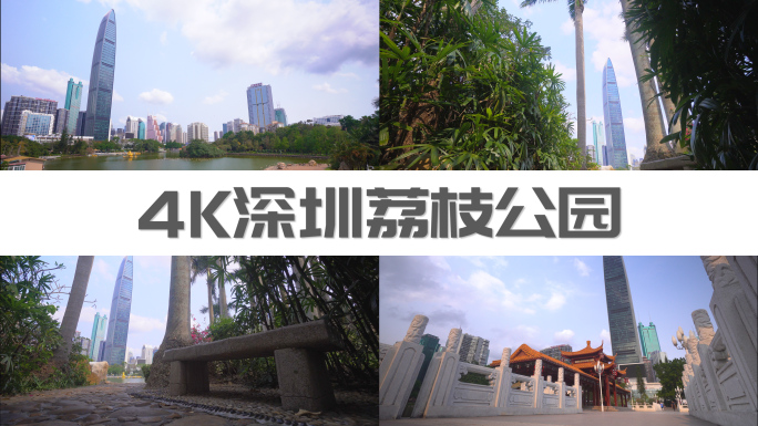 【4K】深圳荔枝公园游览