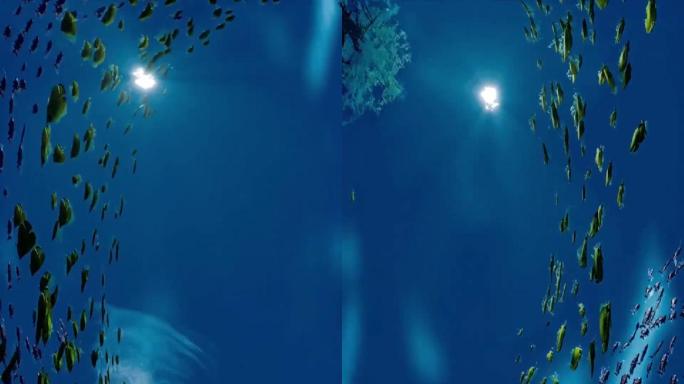 天幕大屏海底世界鱼群4K竖屏