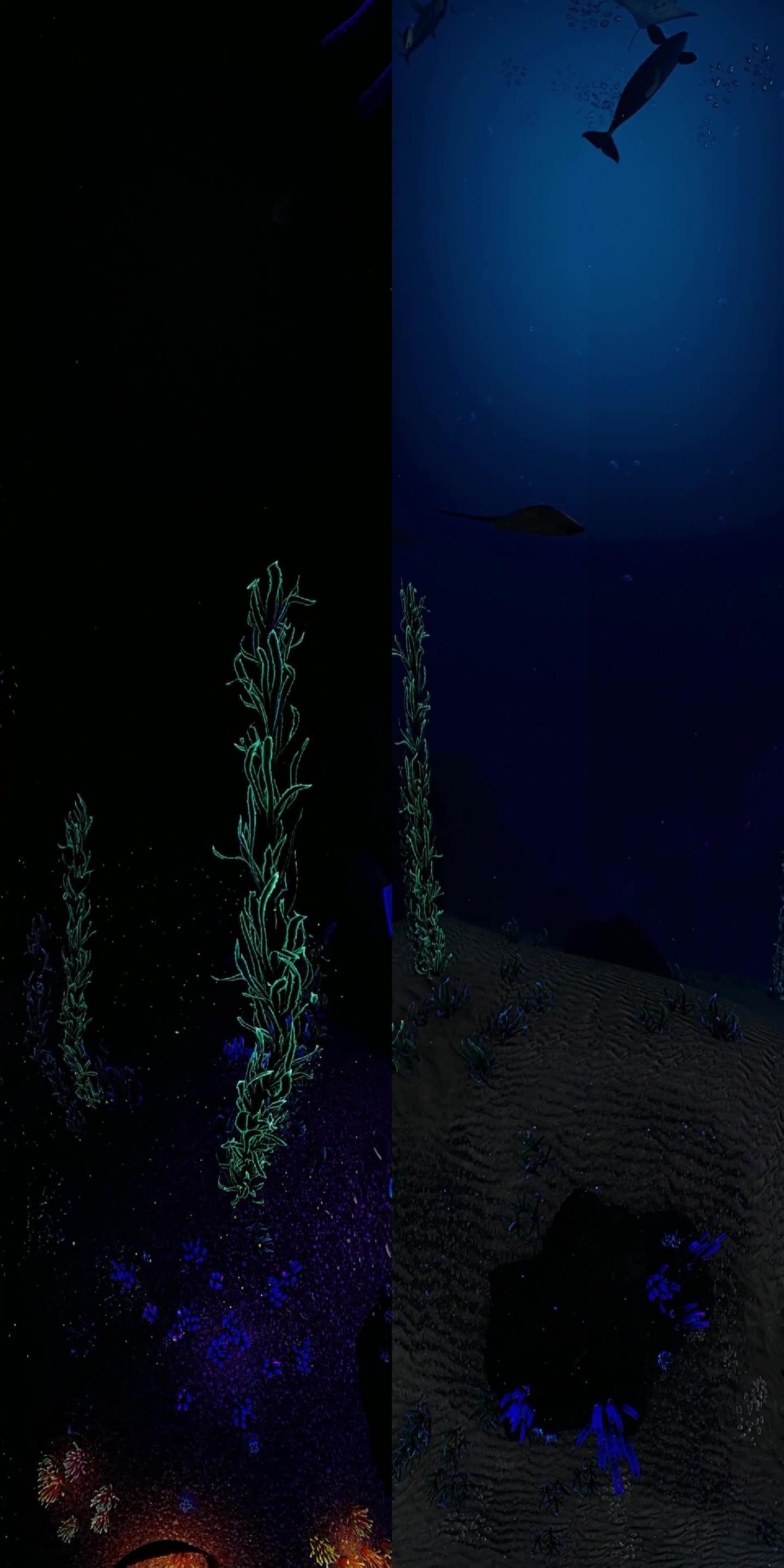 大屏素材海底夜色鱼群竖屏4K