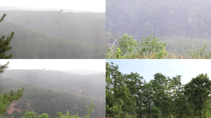 暴雨