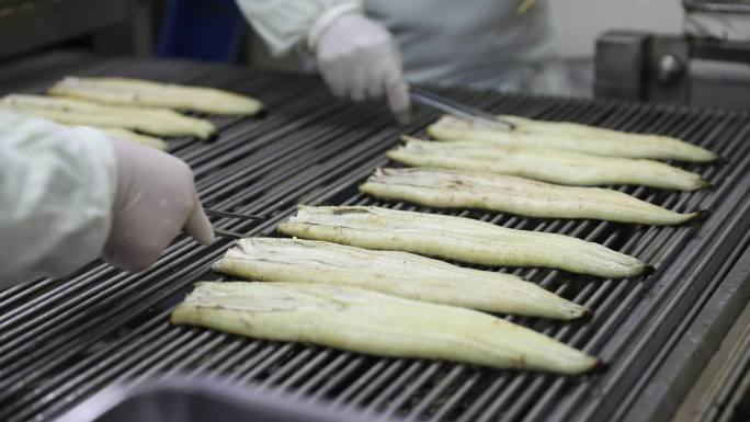 鳗鱼烤鳗鱼鳗鱼生产线烤鳗食品制作