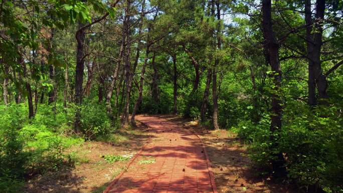 原创拍摄旅顺东鸡冠山堡垒炮台