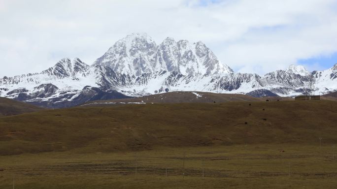 塔公草原雅拉雪山