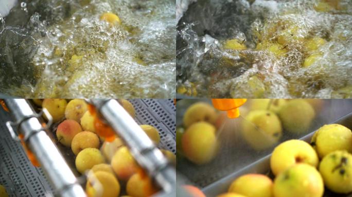 水果自动清洗生产线