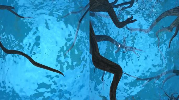 海底世界海豚竖屏4K素材