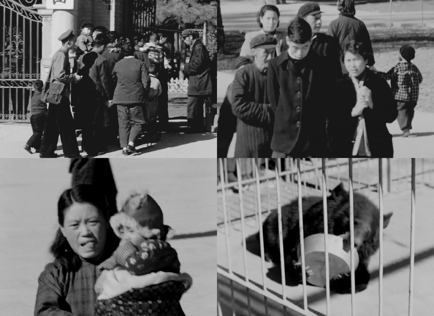上世纪1950年代北京动物园带孩子游玩