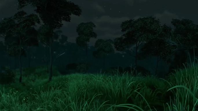 森林树林夜景夜色超宽屏4K
