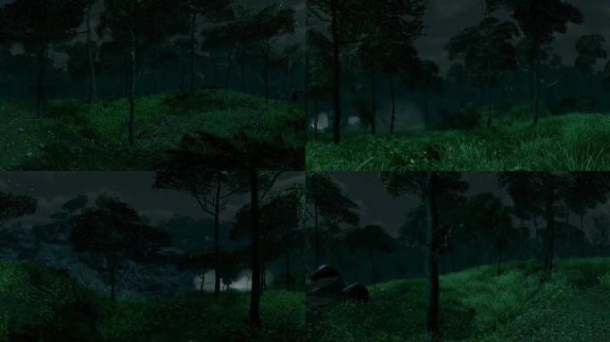 森林树林夜景夜色超宽屏4K