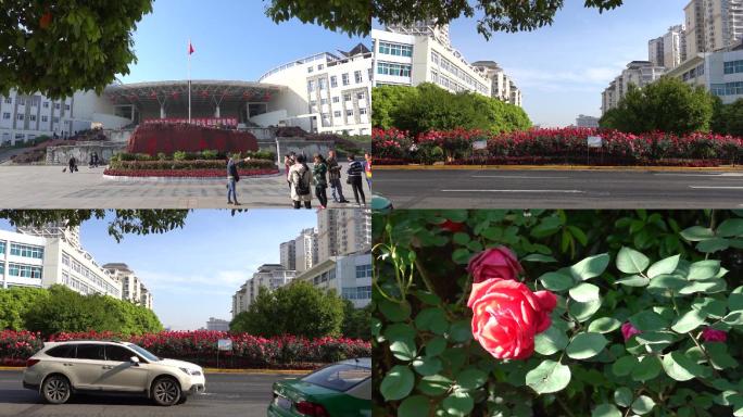 7组黔东南凯里街景车流花朵