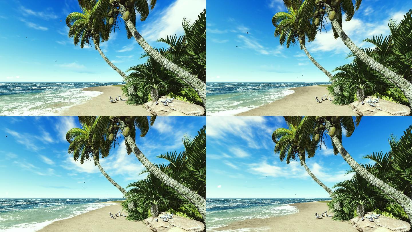 海洋椰子树沙滩