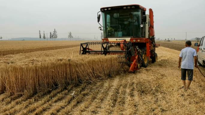 4k高清机械化小麦收割