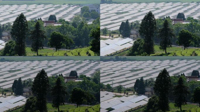 扶贫脱贫太阳能发电新能源电池新农村