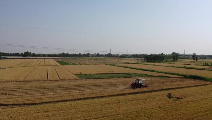 黄河岸边乡村麦子丰收航拍视频素材