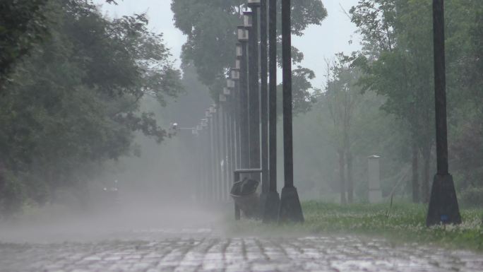 4K超清烟雨中的林荫道