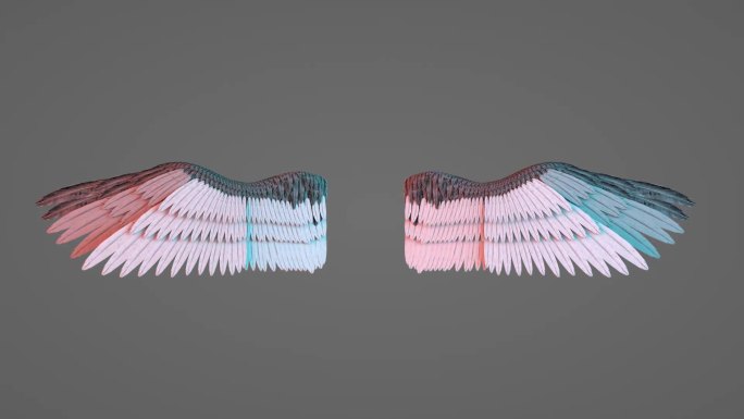 翅膀模型