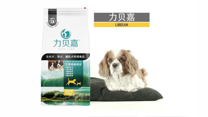 宠物与狗粮猫粮产品展示