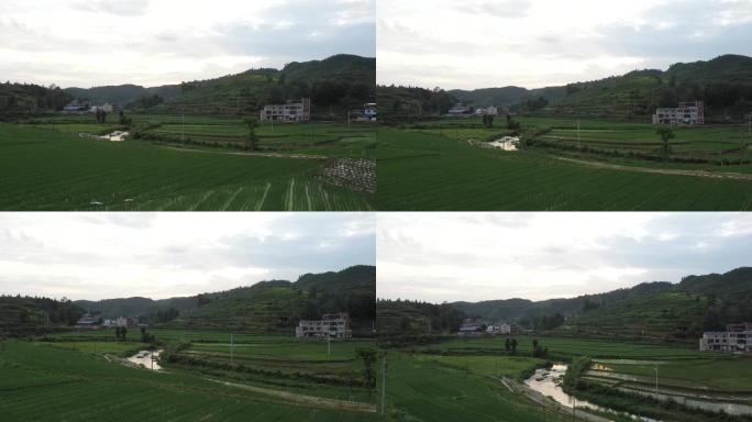 4K航拍贵州农村地城稻田的2组
