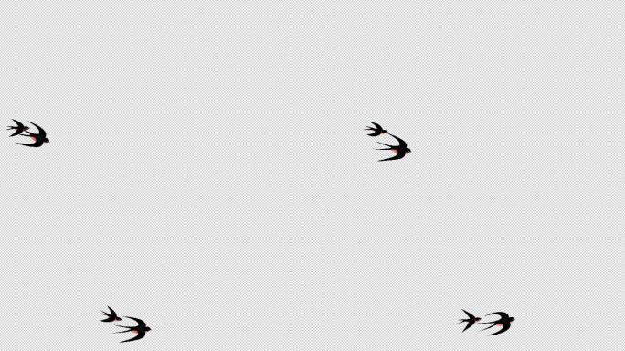 燕子-春天小燕子飞过天空