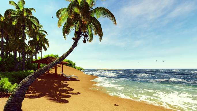 蓝天大海椰子树美景