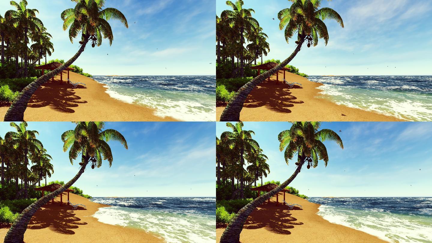 蓝天大海椰子树美景