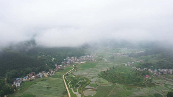 4K航拍农村森林上空远景