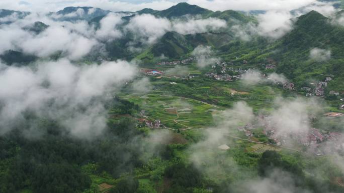 浙北天目山大地4k