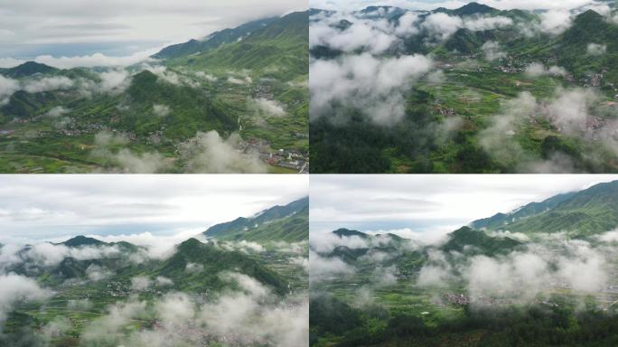 浙北天目山大地4k