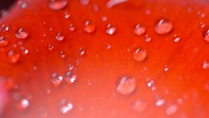 水滴-玫瑰水珠-精华-补水美容-水分子