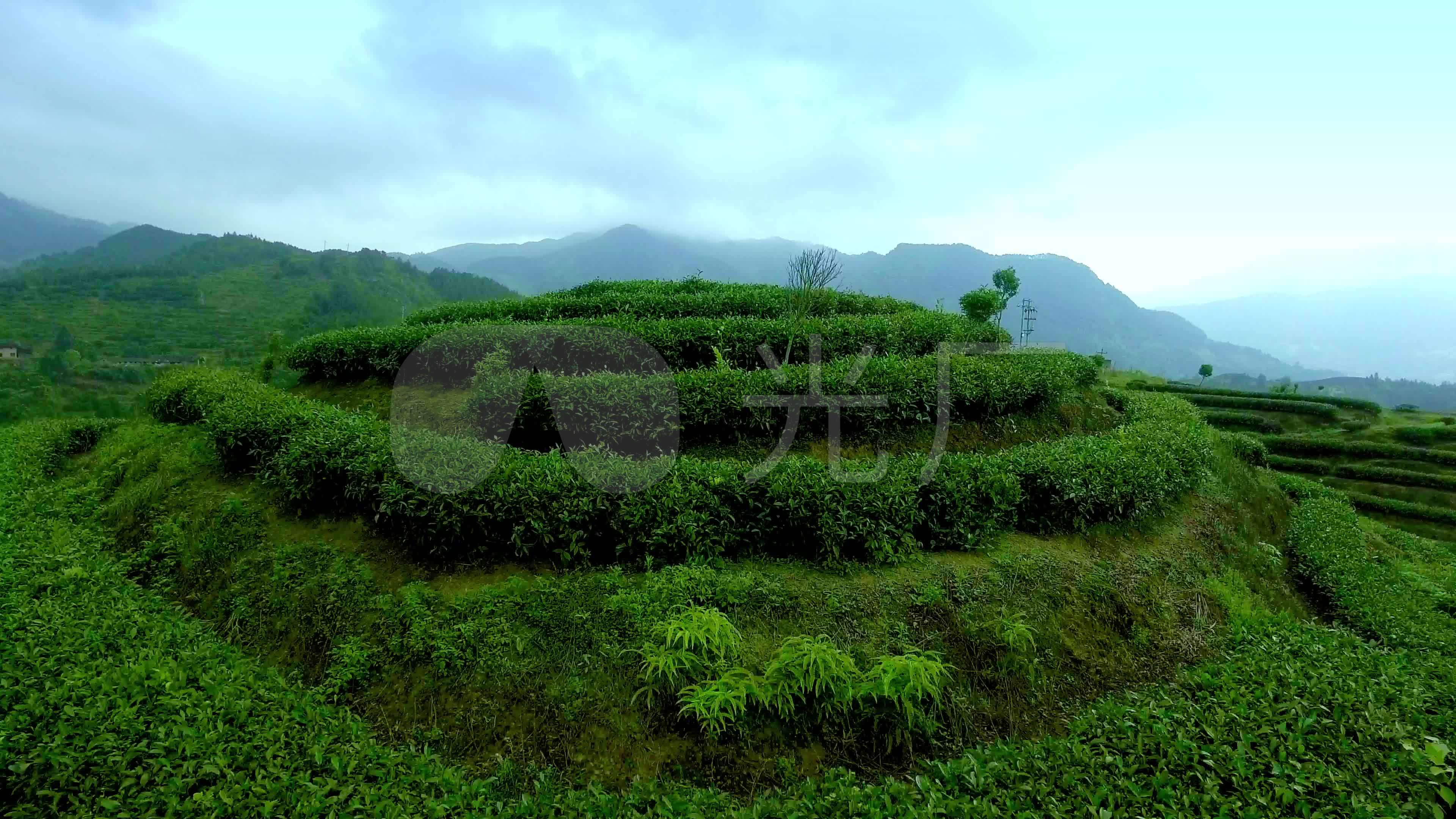 日出安溪 看茶乡美景_凤凰网视频_凤凰网