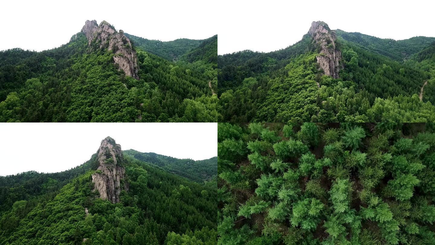 原始森林险峻山峰