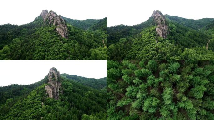 原始森林险峻山峰