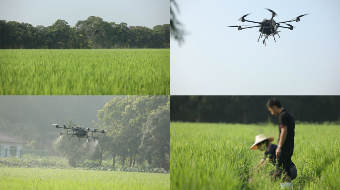 水稻栽培农业用无人机喷洒肥料农药