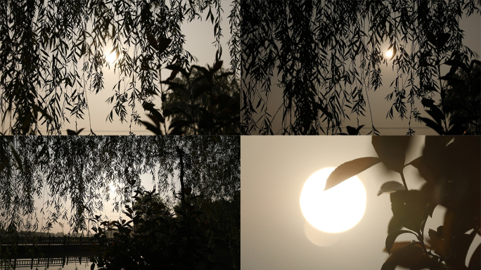 中国风意境夕阳柳树日出美景
