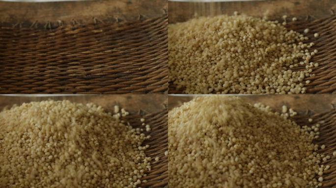 撒落的高粱米