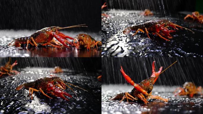 升格拍摄：小龙虾雨中素材