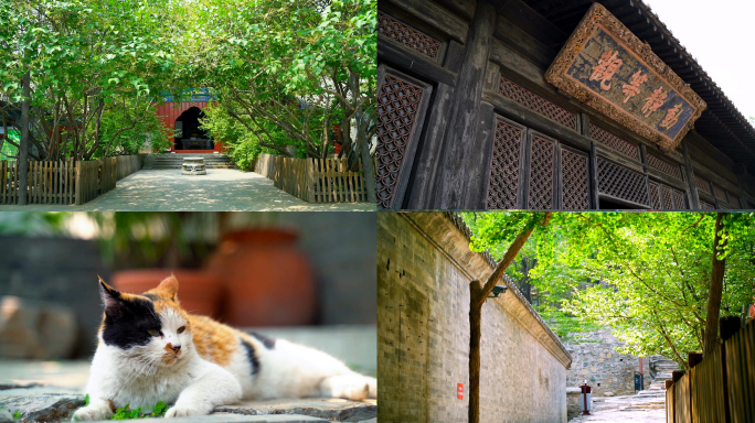 北京大觉寺，寺庙古银杏树，旅行风景