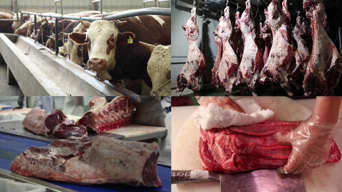 牛肉生产加工
