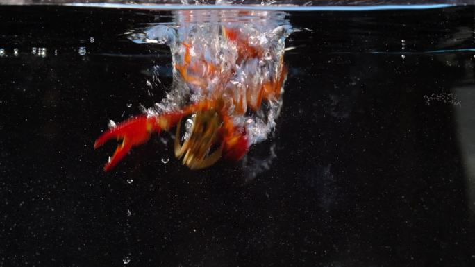 升格拍摄：小龙虾落入水中素材