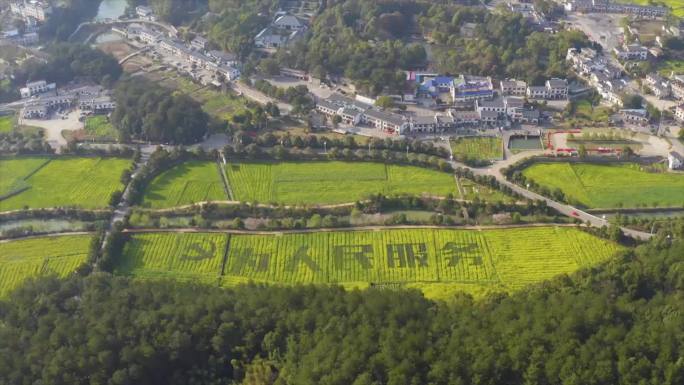 乡村振兴湖南大气图案造型油菜花稻田字韶山