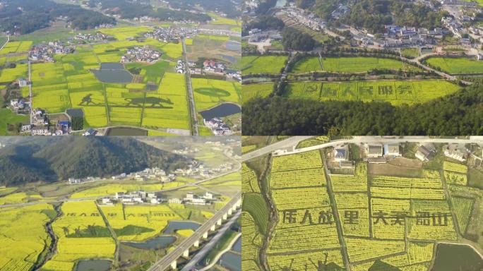 乡村振兴湖南大气图案造型油菜花稻田字韶山