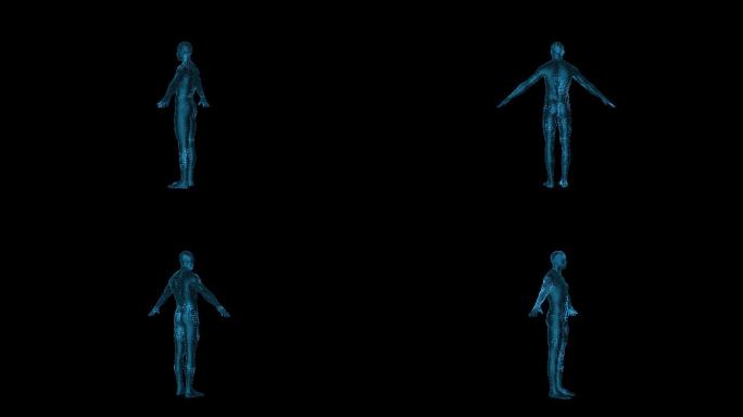 高科技人体扫描动画